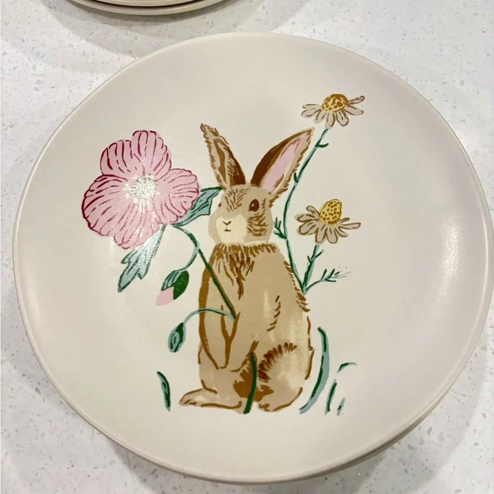 NWT Set of 6 Stoneware Bunny Floral 8” Salad / Luncheon Plates Ivory and Pastel